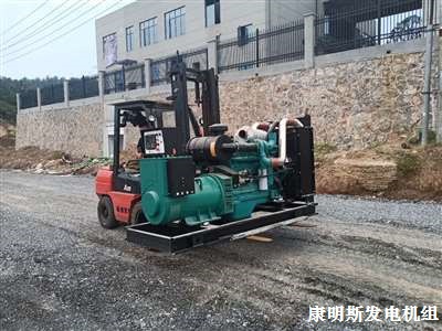 東風康明斯柴油發(fā)電機組  交貨