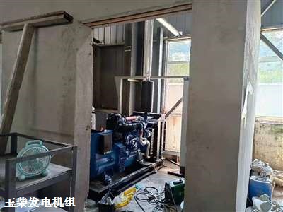奉新柴油發(fā)電機組 供貨